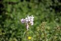 2010 07 13 jeanmarcperfetti.com 053.JPG